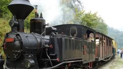 Incredibil! 12 persoane au fost rănite, după ce o mocăniță din Maramureș a deraiat