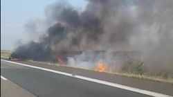 Incendiu de vegetație pe Autostrada Soarelui. Pe sensul către mare se circulă pe o singură bandă