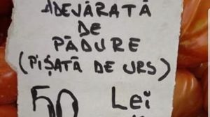 Modul inedit în care își promovează zmeura la piață un comerciant. Ce a scris pe un carton, lângă preț, ca să atragă clienții