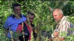 Ultimă oră: oseminte găsite într-una din gropile din curtea lui Gheorghe Dincă