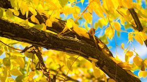 Vremea septembrie 2019. Avertisment ANM: Totul se schimbă