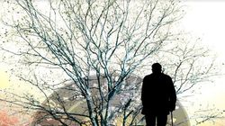 Parodontoza poate duce la AVC, Alzheimer și la Atac de Cord