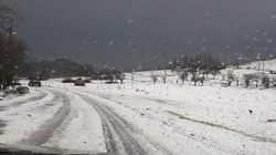 Val polar în România: ”Nu putem exclude episoadele cu fenomene severe, ger, viscol, căderi masive de zăpadă”