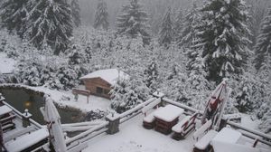 Avertizare de vreme rea: ninsori și vânt puternic în mai multe zone