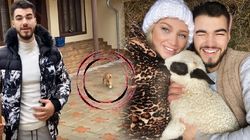 Iancu de la Puterea dragostei s-a întâlnit cu vulpița! Reacția Denisei a fost fabuloasă