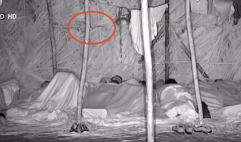 Ce au observat telespectatorii &icirc;n episodul de aseară din Survivor, &icirc;n tabăra Războinicilor