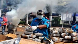 Cum au reușit polițiștii din Indonezia să drogheze un oraș întreg. Greșeala autorităților după ce au ars trei tone de marijuana