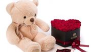 Inca nu stii ce sa ii daruiesti iubitei de Valentine’s Day? Iata recomandarile noastre! 