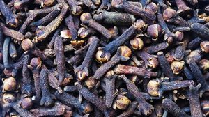 Ce trebuie să știi despre CUIȘOARE. De ce sunt adevărate antibiotice Ce trebuie să știi despre CUIȘOARE. De ce sunt adevărate antibiotice