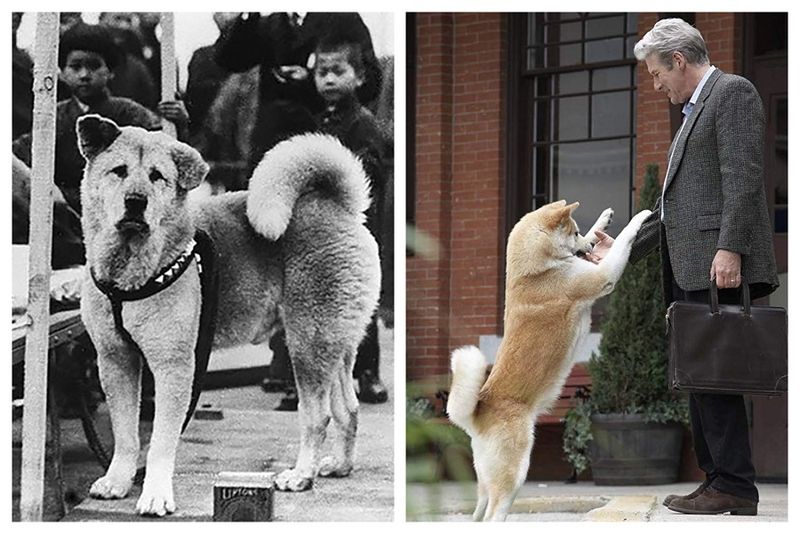 14 imagini rare cu Hachiko, cel mai devotat c&acirc;ine din lume