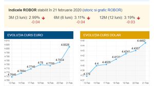Curs valutar 21 februarie 2020