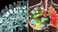 Test coronavirus