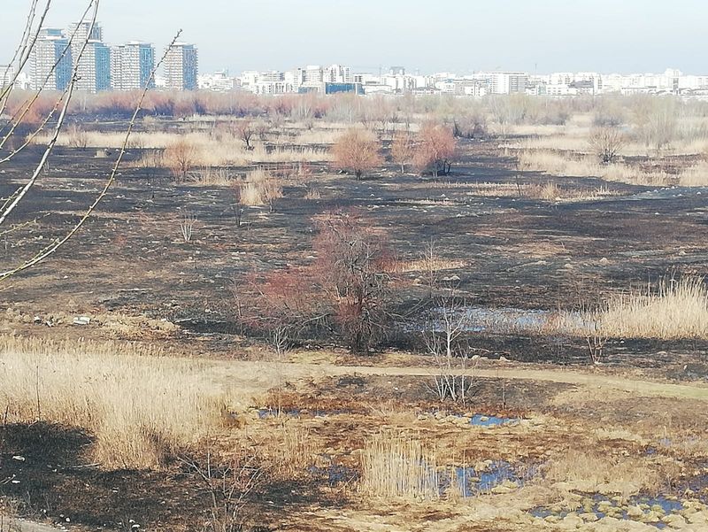 Florin Salam, vila salam berceni, delta vacaresti, jandarmi calare acasa salam, manelist florin salam