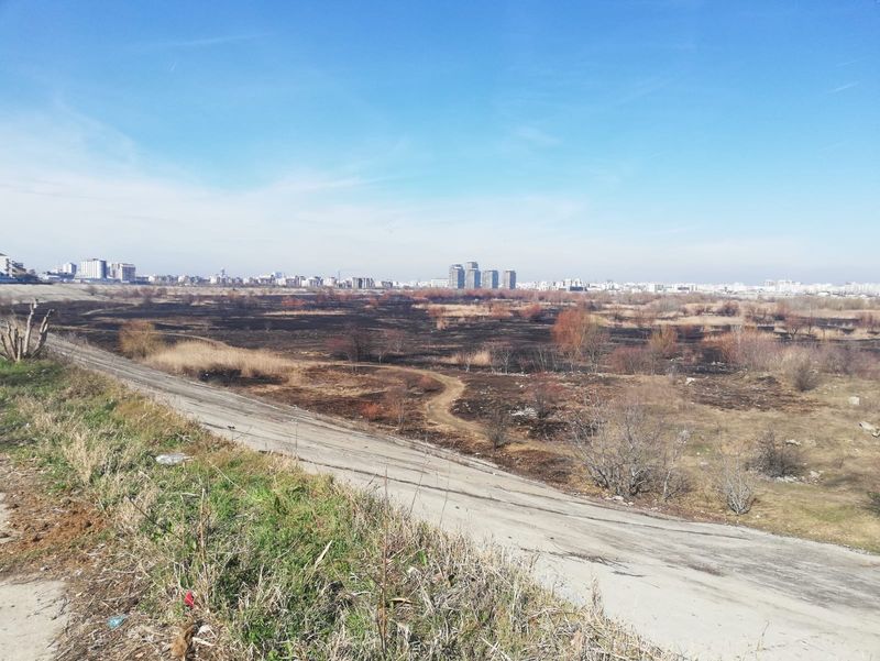 Florin Salam, vila salam berceni, delta vacaresti, jandarmi calare acasa salam, manelist florin salam