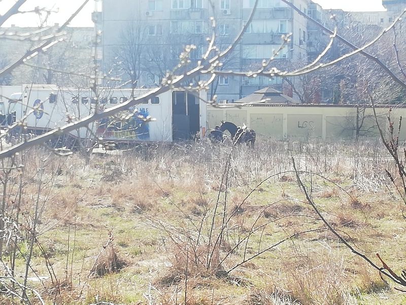 Florin Salam, vila salam berceni, delta vacaresti, jandarmi calare acasa salam, manelist florin salam
