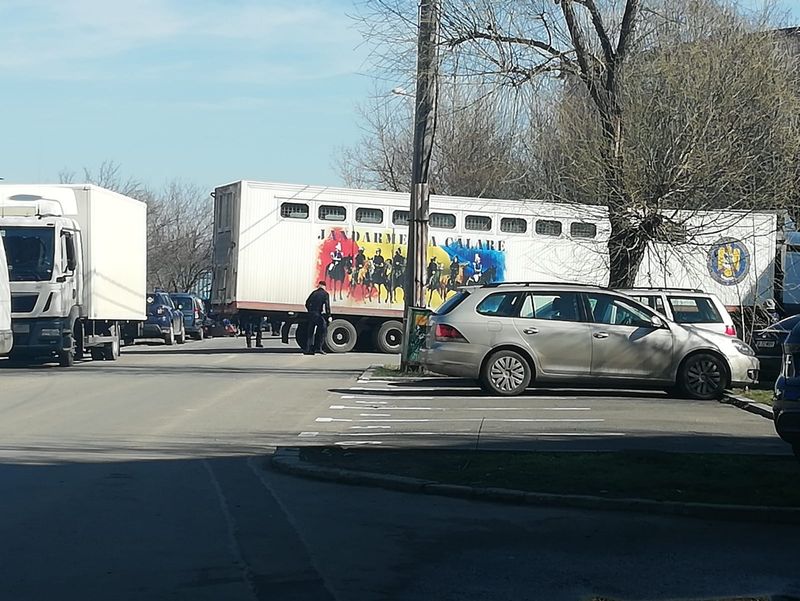 Florin Salam, vila salam berceni, delta vacaresti, jandarmi calare acasa salam, manelist florin salam