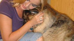 Câinii care au vegheat-o pe Cristina Ţopescu nu îşi găsesc stăpâni! Sisi e agresivă, iar Bonnie nu are încredere în oameni! EXCLUSIV