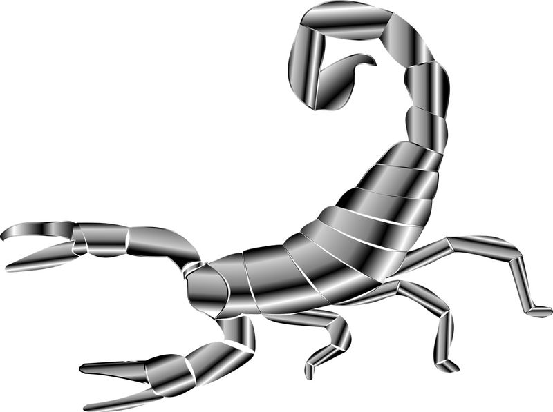 Compatibilitate Scorpion. Zodiile cu care se potrivesc nativii Scorpioni