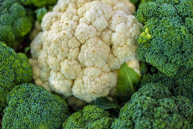 broccoli toxic