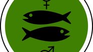 Cele mai bolnavicioase zodii din horoscop: Pesti