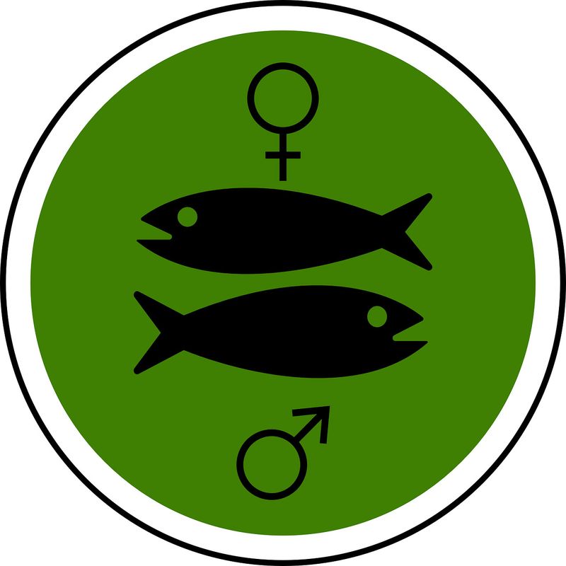 Cele mai bolnavicioase zodii din horoscop: Pesti