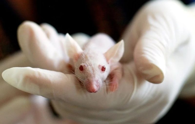 Un vaccin împotriva COVID-19 este aproape gata