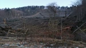 VIDEO. S-a declanșat iadul în localitatea Azuga. Alunecare masivă de teren. Zeci de familii, evacuate
