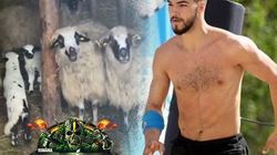 SURPRIZĂ! Iancu Sterp are record la tăiat un miel de Paște! Mama lui l-a dat de gol pe războinicul de la Survivor România! ”O făcea fără să clipească”