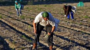 Românii plecați în Germania pentru un trai mai bun sunt munciți până la epuizare: „Suntem ca sclavii”