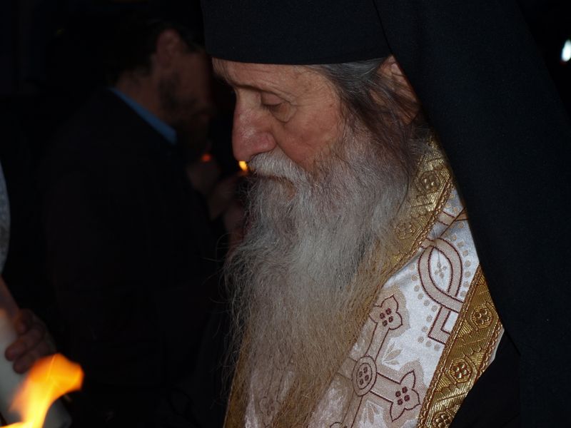 ips-pimen-coronavirus