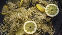  Socată de casă. Rețeta aromată de suc natural