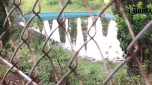 O fetiță româncă, în vârstă de trei ani, găsită moartă într-o piscină 