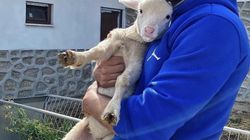 Celebrul actor Murat  Ünalmıș le trimite fanilor vesti din izolare. Mare iubitor de natura, interpretul personajului Demir Yaman din „Ma numesc Zuleyha”, s-a retras, pe perioada pandemiei, intr-un colt de rai