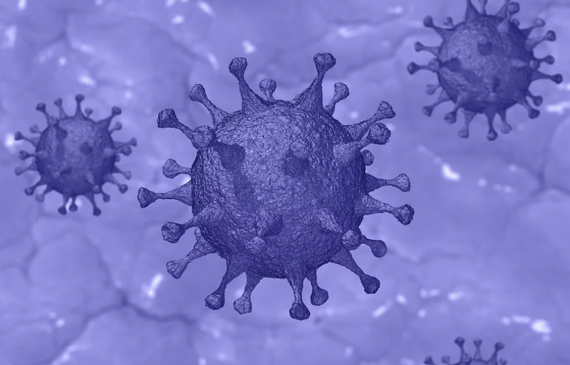coronavirus