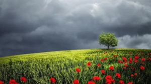 Prognoza meteo. Vremea suferă o nouă schimbare. Ce ne așteaptă