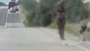 Prostituatele românce din Italia s-au întors la muncă! Se protejează de coronavirus cu măști, gel dezinfectant și termoscanere: „Nu putem să stăm fără să muncim, este viitorul nostru în joc”