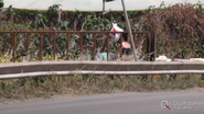 Prostituatele românce din Italia s-au întors la muncă! Se protejează de coronavirus cu măști, gel dezinfectant și termoscanere