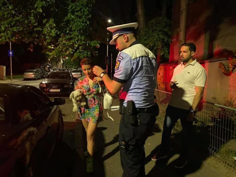Cruzime fără margini. O femeie și-a închis cățelul în mașină timp de trei zile. Cum a fost găsit de autorități? Îți dau lacrimile
