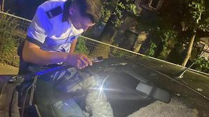 Cruzime fără margini. O femeie și-a închis cățelul în mașină timp de trei zile. Cum a fost găsit de autorități? Îți dau lacrimile