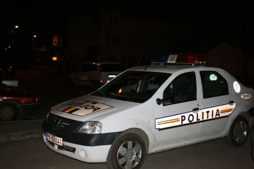 Doi politisti din Braila, morti intr-un accident