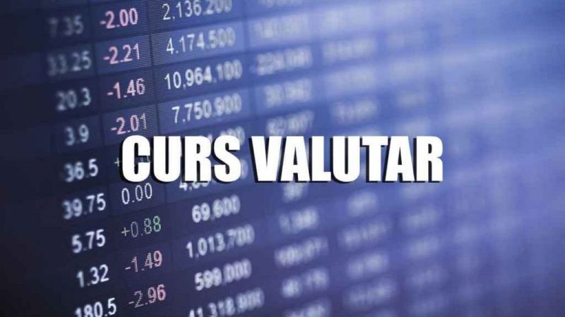 curs-valutar.