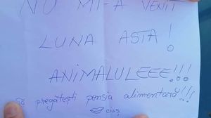 Un bucureștean a rămas șocat când a văzut biletul din parbriz