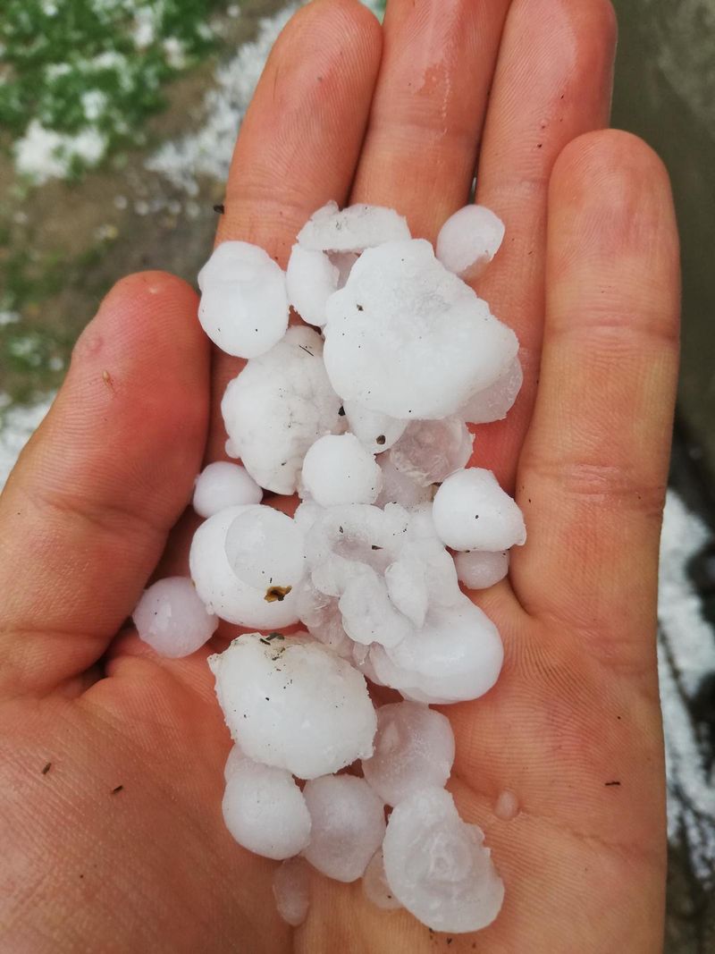 VIDEO. Grindina de dimensiuni uriașe a făcut prăpăd &icirc;n județul Bacău