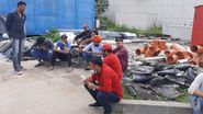 Peste 40 de muncitori indieni protestează pe șantierul din municipiul Ploiești
