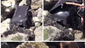 VIDEO terifiant pe TikTok! Au găsit rămășițele unui cadavru într-o valiză și au publicat imaginile pe internet