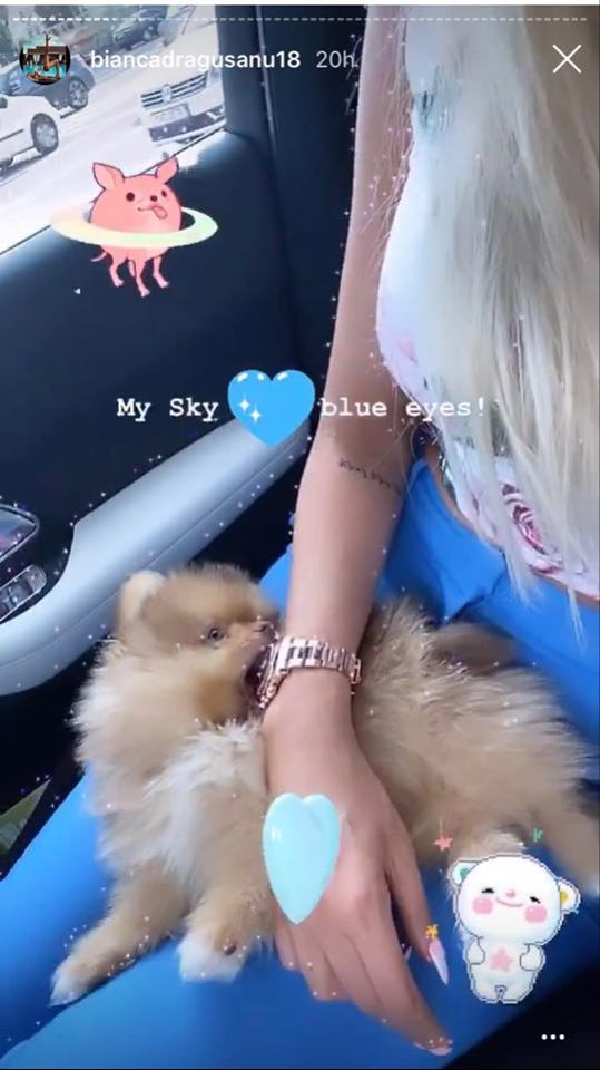 Bianca Drăgușanu, declarații exclusive despre următoarea nuntă cu Bodi