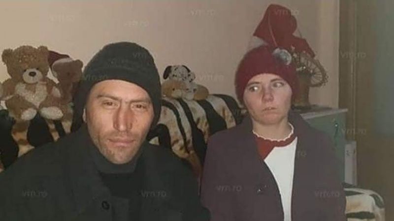 vulpita la tara