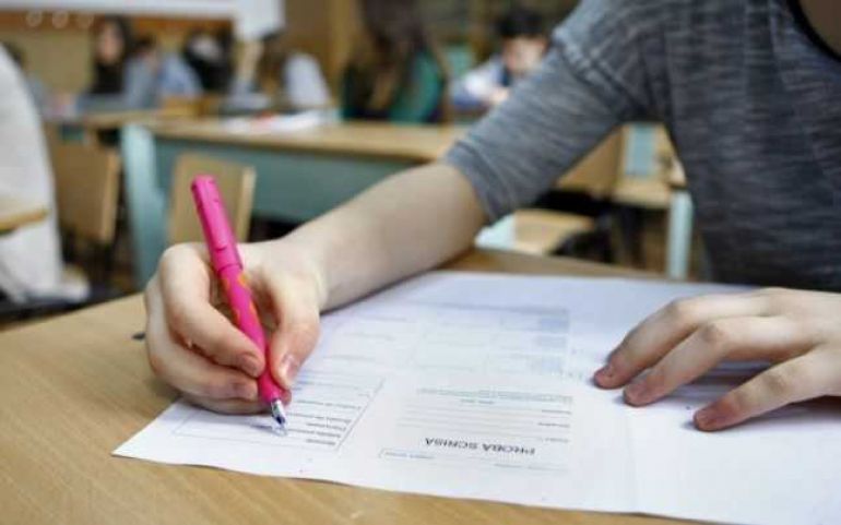Rezultate Bacalaureat 2020. Elev examen Rezultate Bacalaureat 2020. Verifică ce notă ai luat la BAC