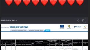 Selly a închis gurile tuturor! Ce note a luat vloggerul la BAC