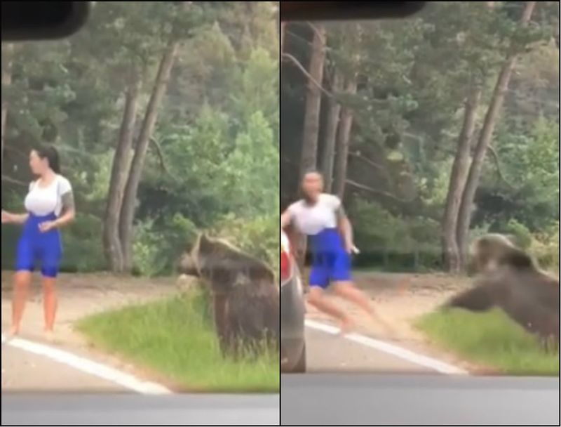 O tânără a riscat să fie linșată de un urs pentru o poză de Instagram